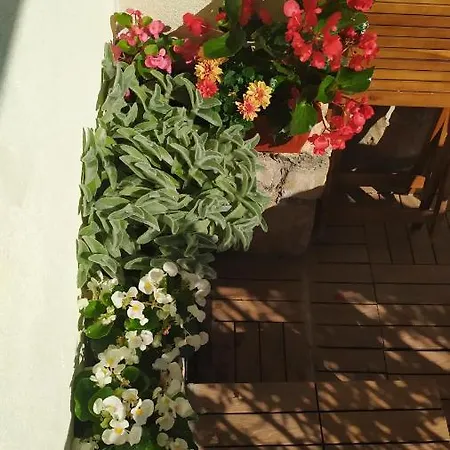 Apartment Lea - Sea&city View With Terrace *