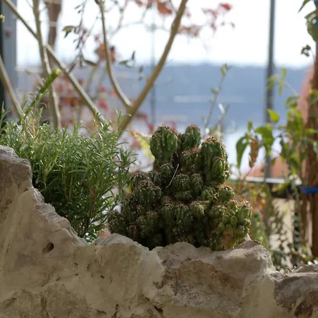Lea - Sea&city View With Terrace Apartment Dubrovnik