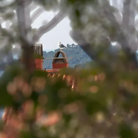 Lea - Sea&city View With Terrace دوبروفينك