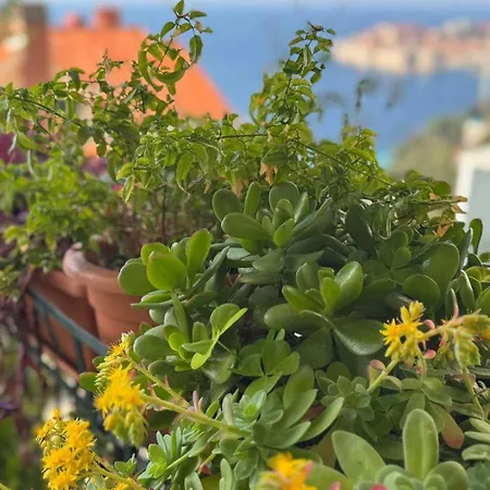 Lea - Sea&city View With Terrace Dubrovnik